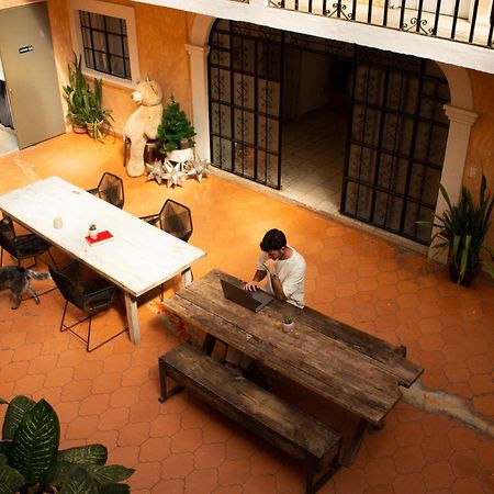 Albergue Casa Lool Beh San Miguel de Allende Exterior foto