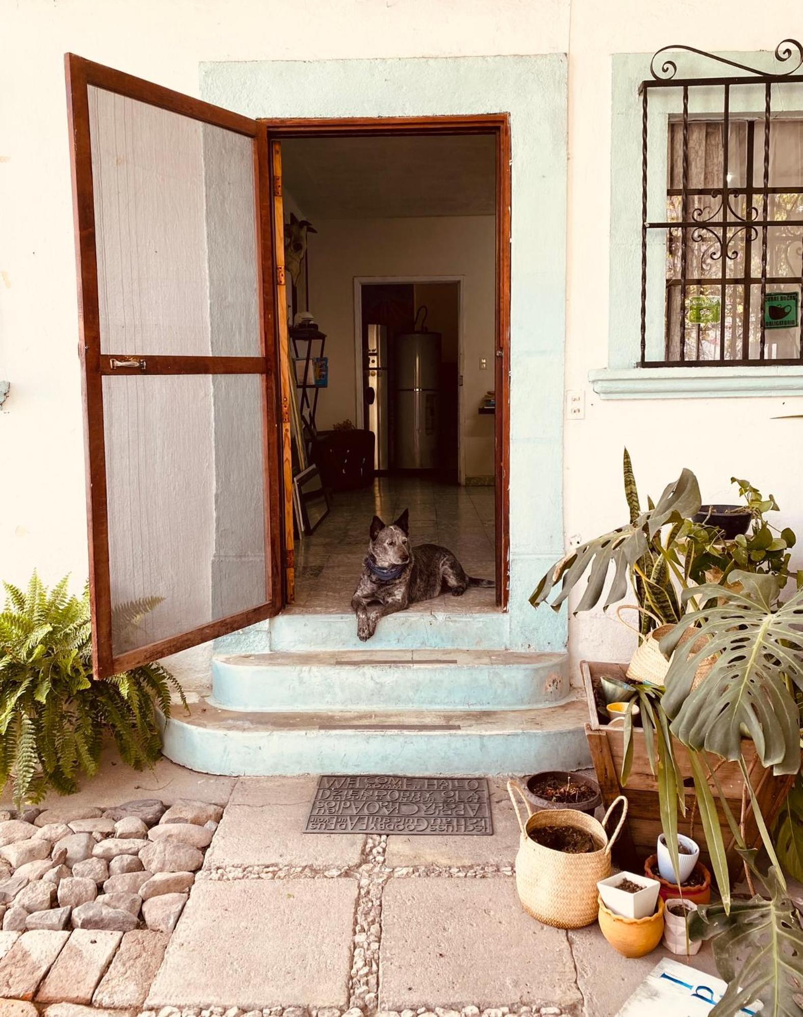 Albergue Casa Lool Beh San Miguel de Allende Exterior foto
